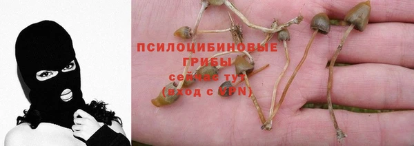 круглые Балахна